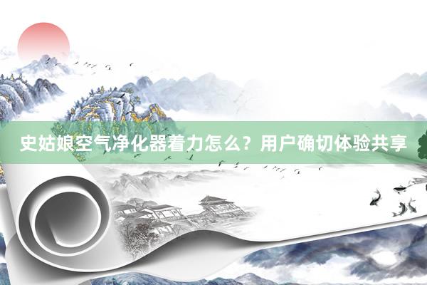 史姑娘空气净化器着力怎么？用户确切体验共享